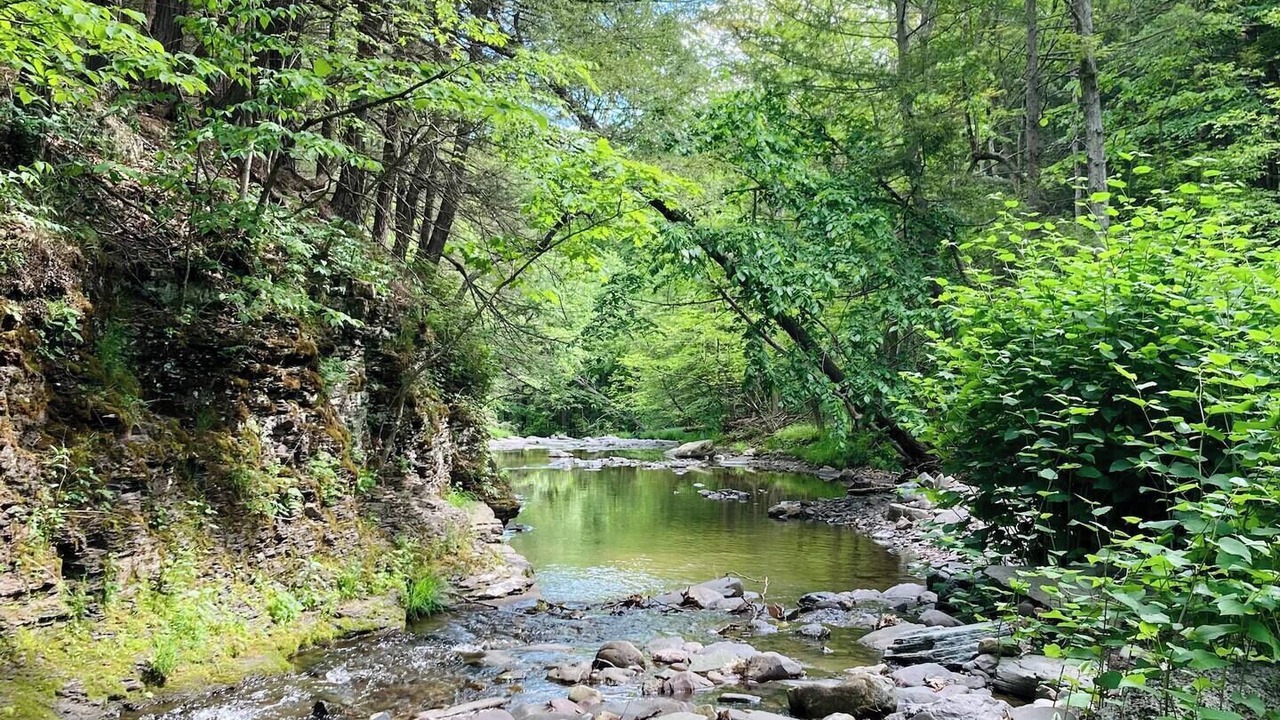 Photo of Others in Durham