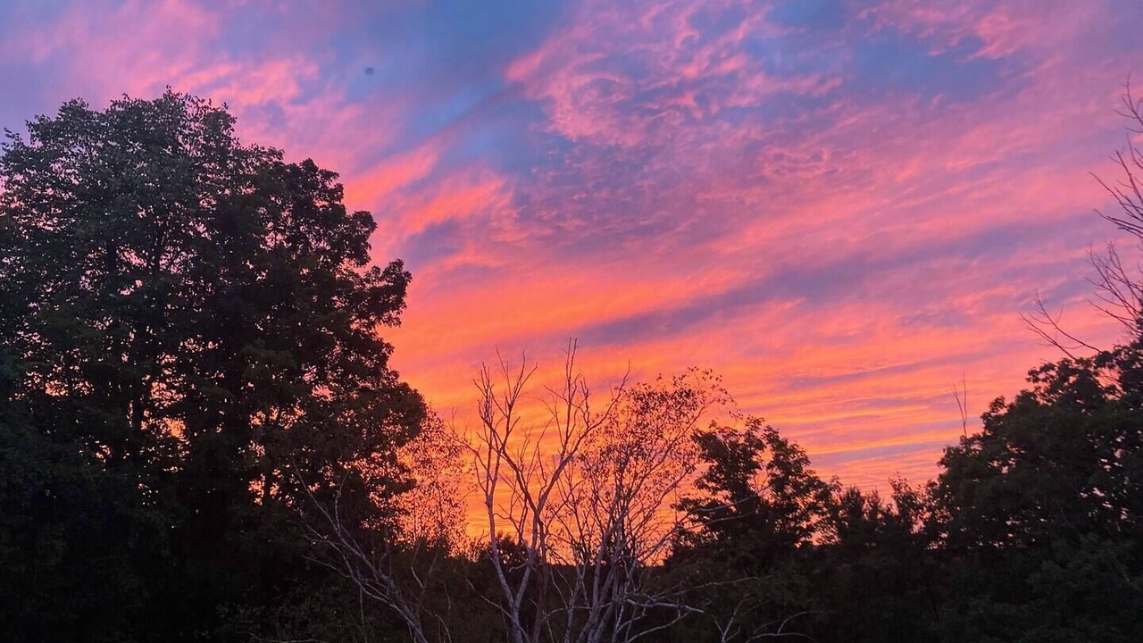 Photo of Others in Durham