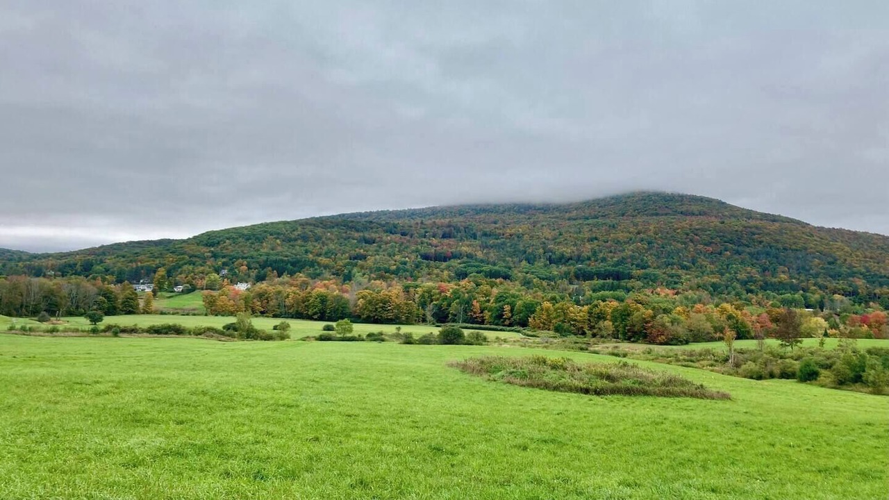 Photo of Others in Durham