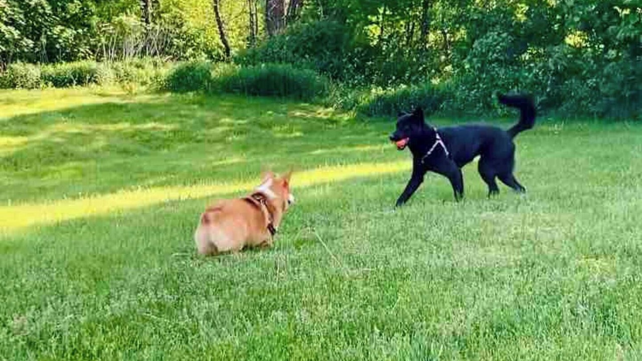 Photo of Others in Durham