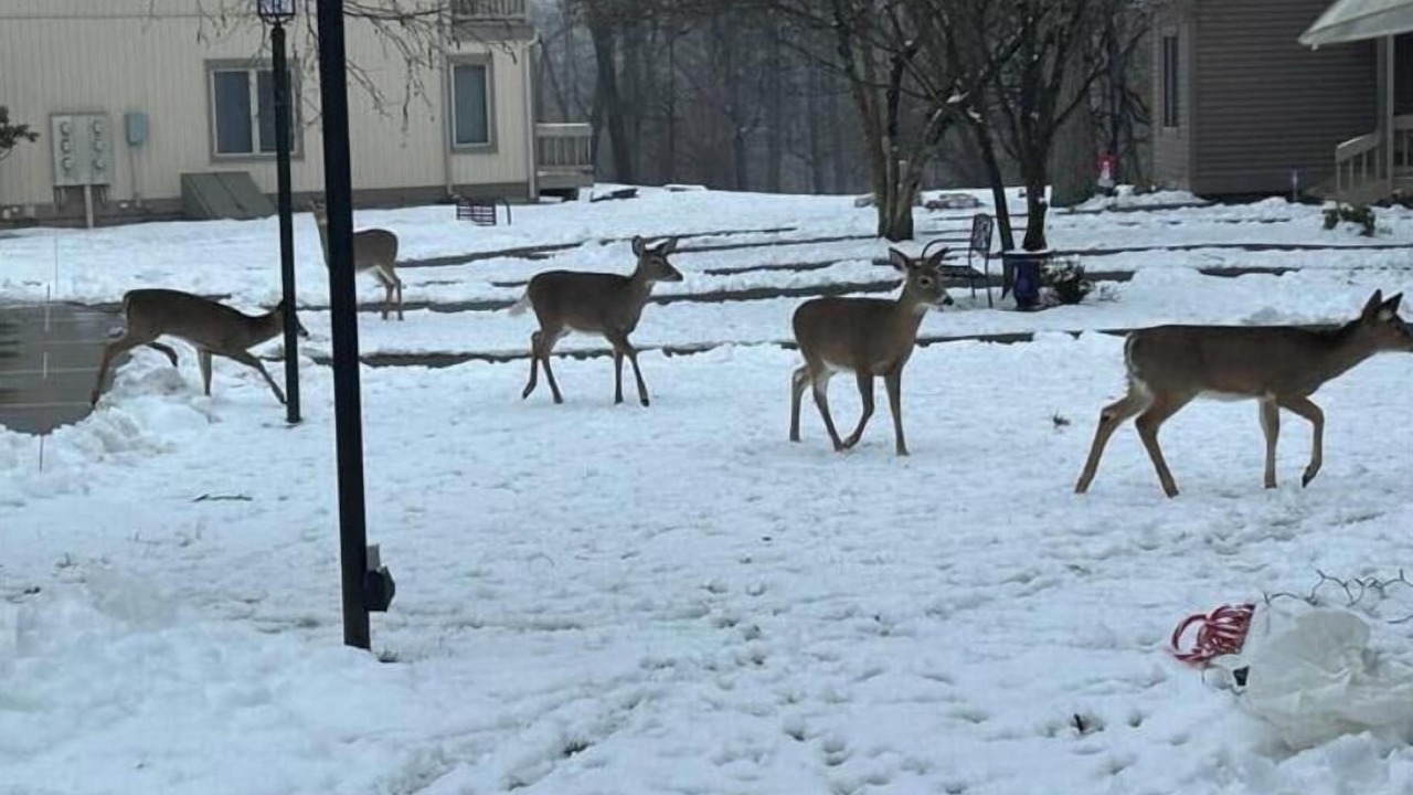 Photo of Others in East Stroudsburg