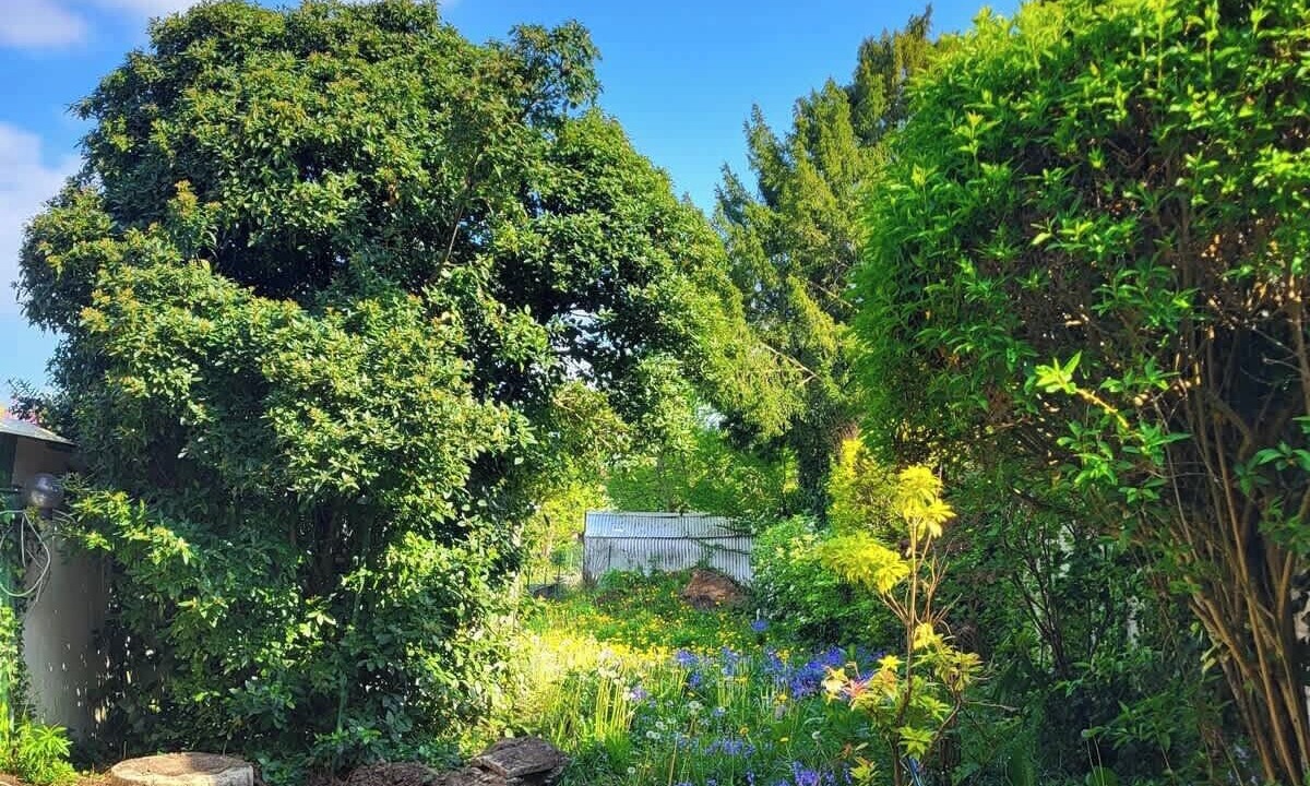 Photo of Outdoor in Bethune