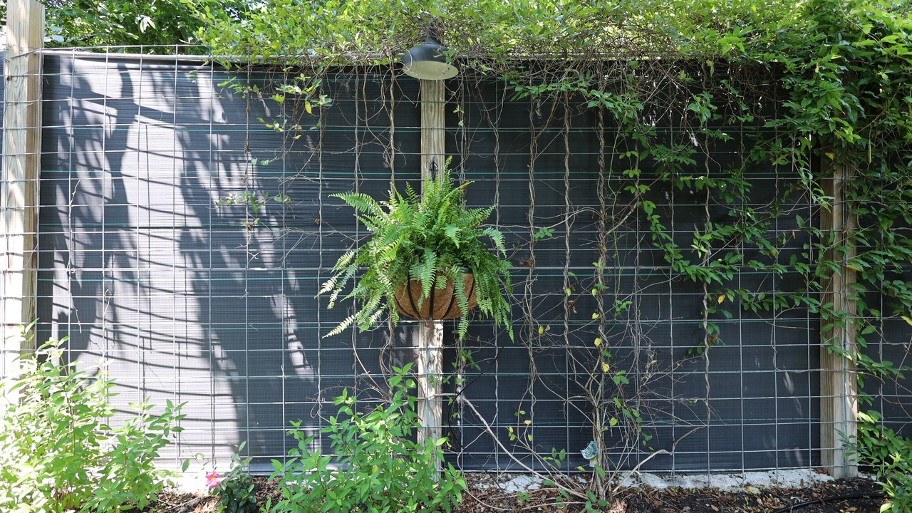 Photo of Outdoor in Willis