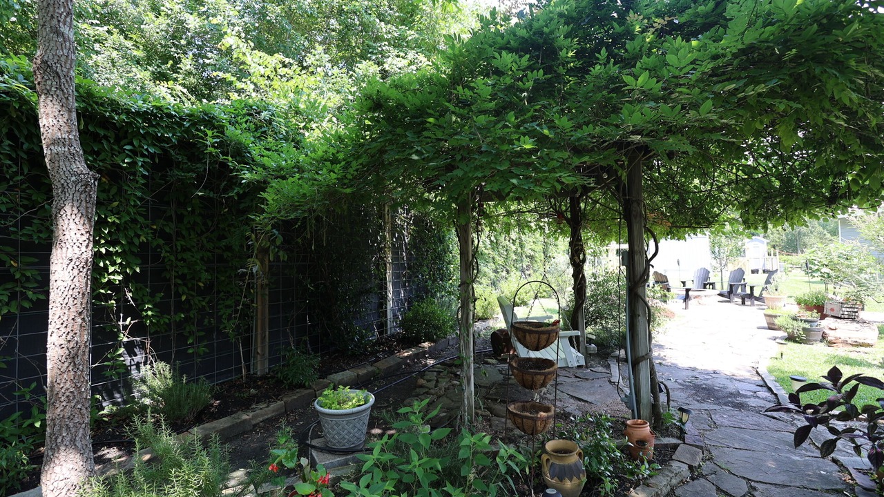 Photo of Outdoor in Willis