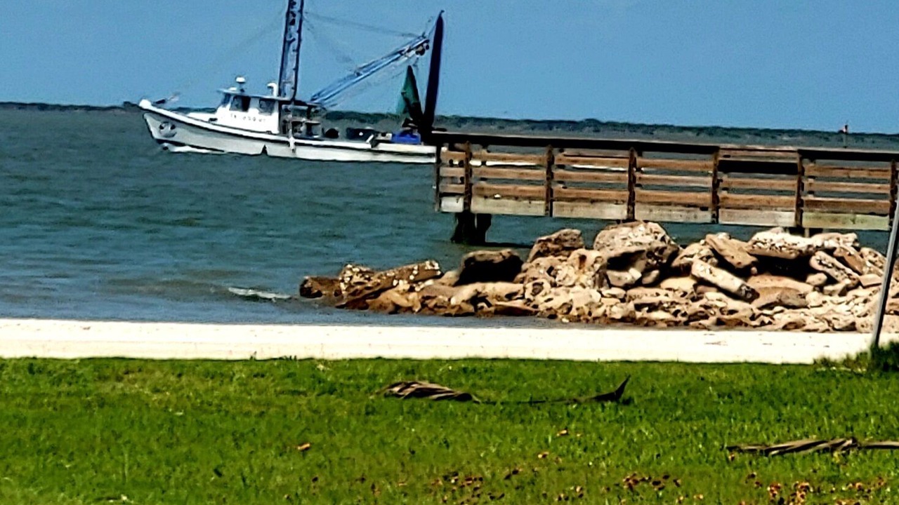 Photo of Others in Port Lavaca
