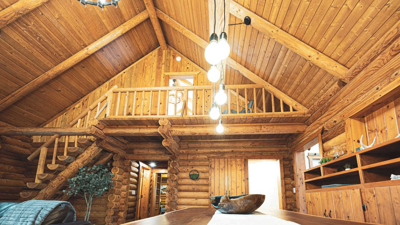 Photo of Others in Arlington