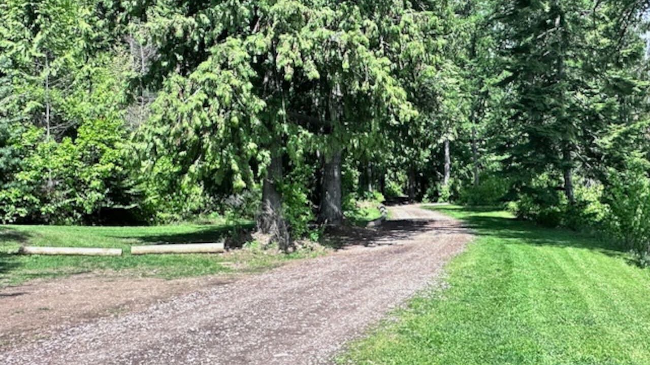 Photo of Others in Sagle