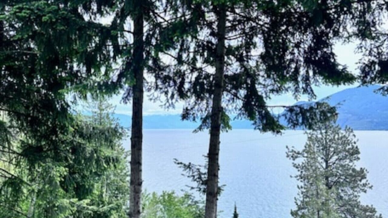 Photo of Others in Sagle