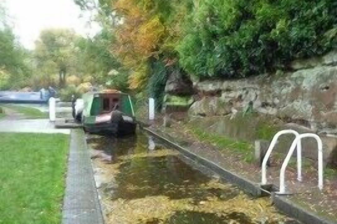 Photo of Others in Stone