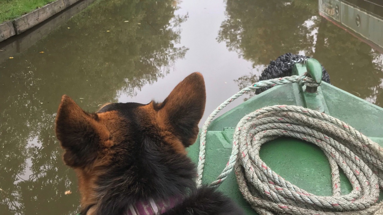 Photo of Others in Stone