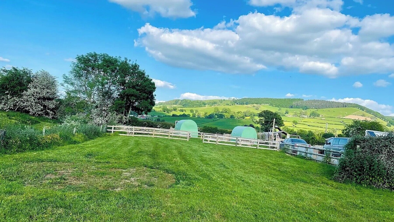 Photo of Others in Kingswood