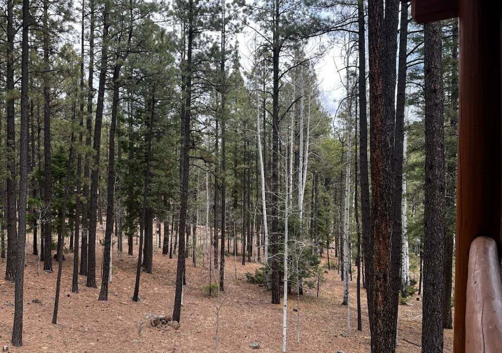 Photo of Others in Greer