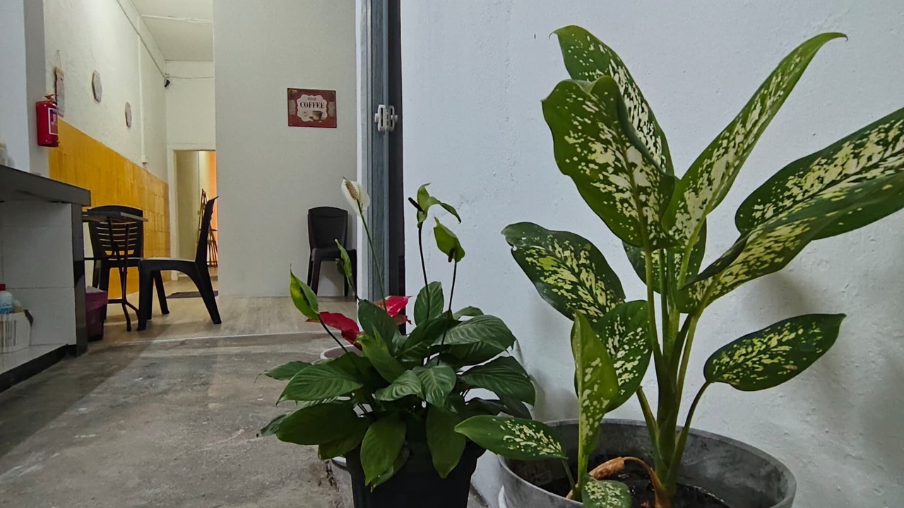 Photo of Others in Downtown George Town