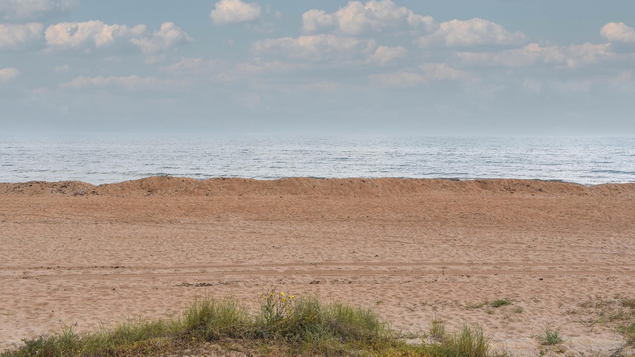 Photo of Others in Almadrava Beach