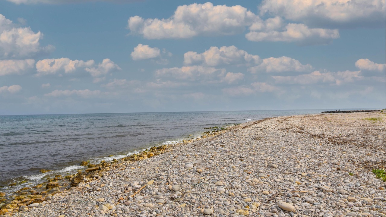 Photo of Others in Almadrava Beach