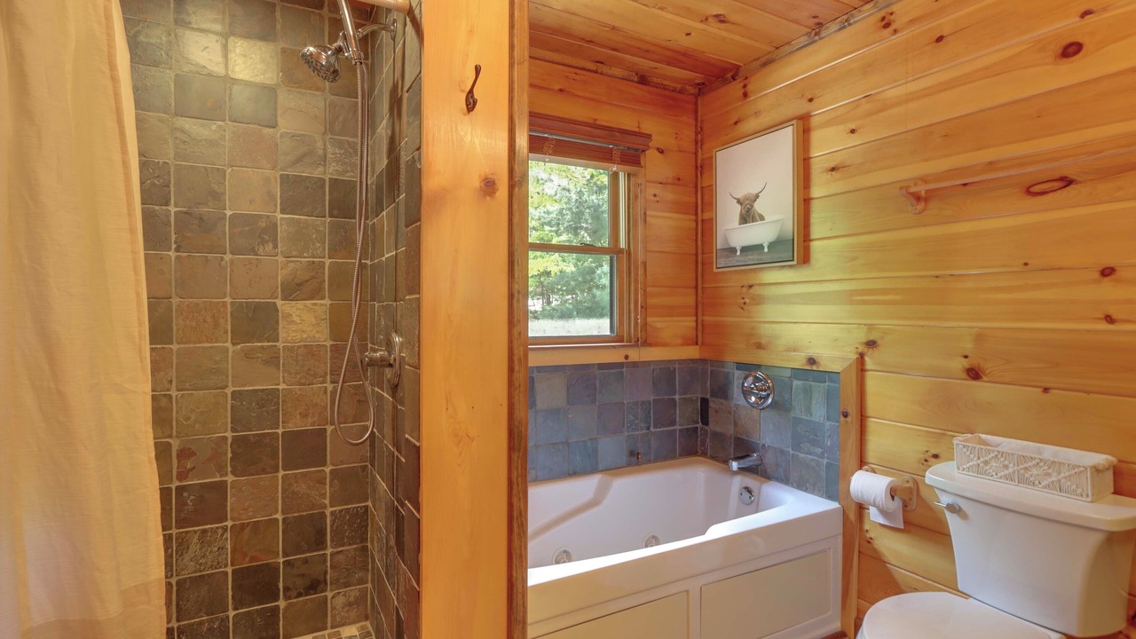 Photo of Bathroom in Mineral Bluff