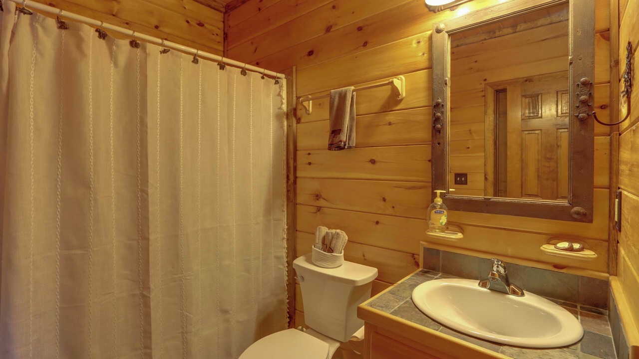 Photo of Bathroom in Mineral Bluff