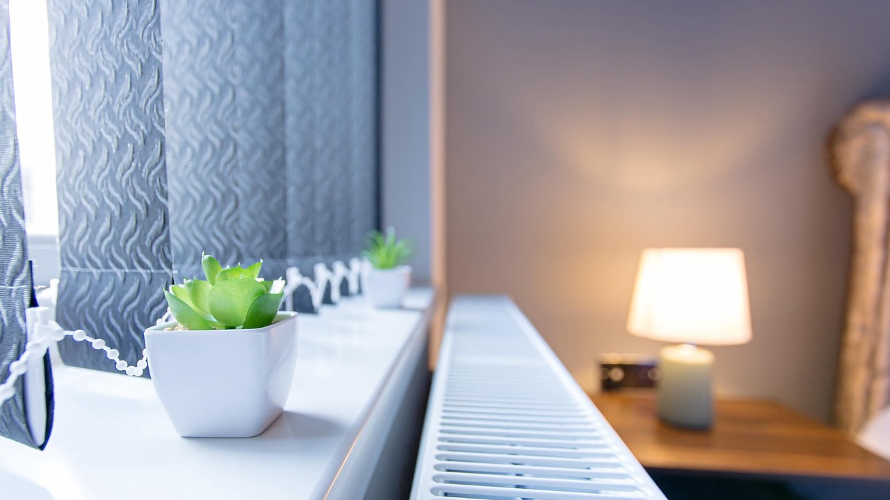 Photo of Others in Stoke-on-Trent