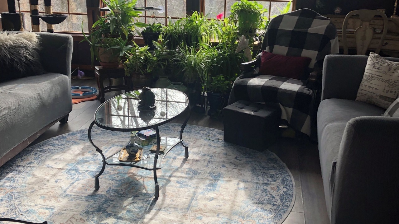 Photo of Livingroom in Sainte-Adele