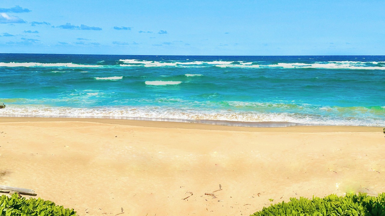 Photo of Others in Lihue