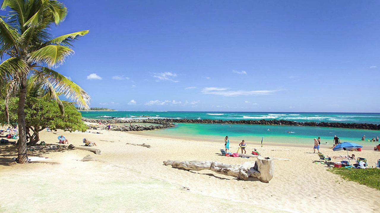 Photo of Others in Lihue