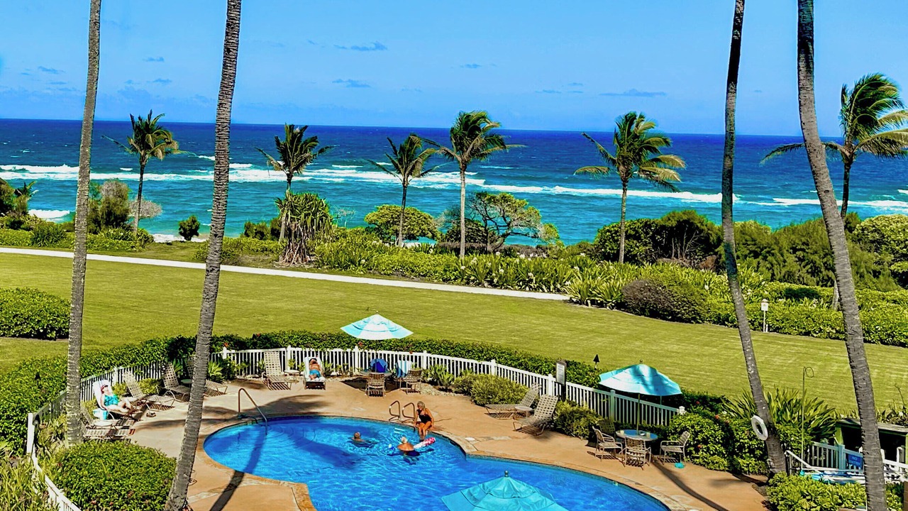 Photo of Others in Lihue