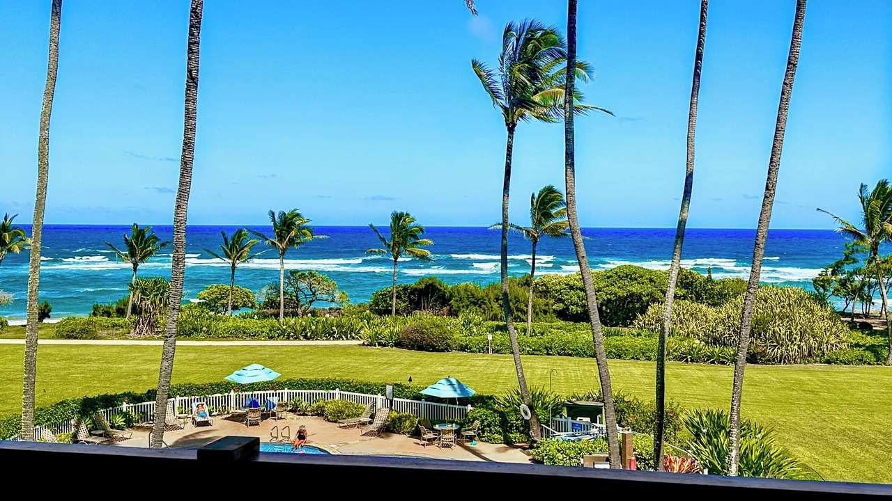 Photo of Others in Lihue