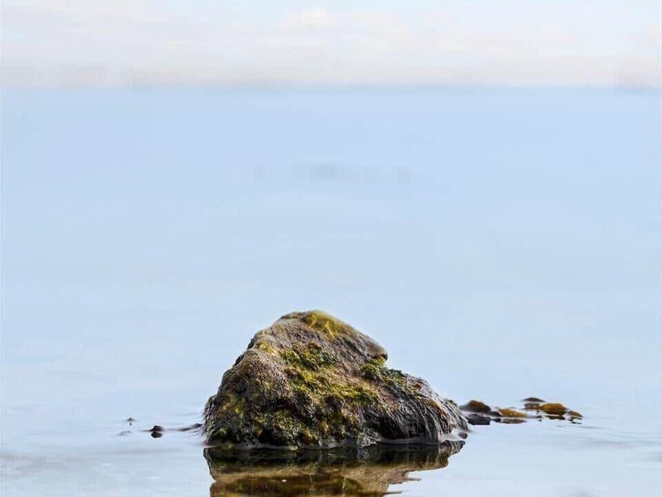 Photo of Others in Nyborg