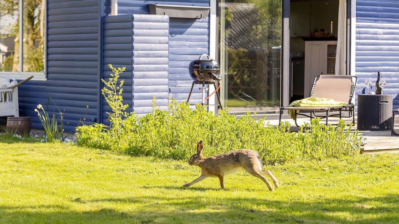 Photo of Outdoor in Vemmenæs