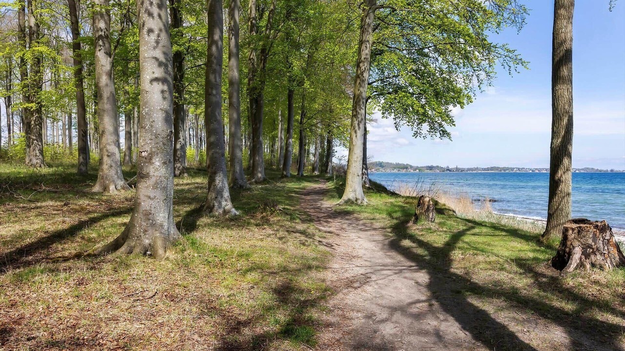 Photo of Others in Svendborg