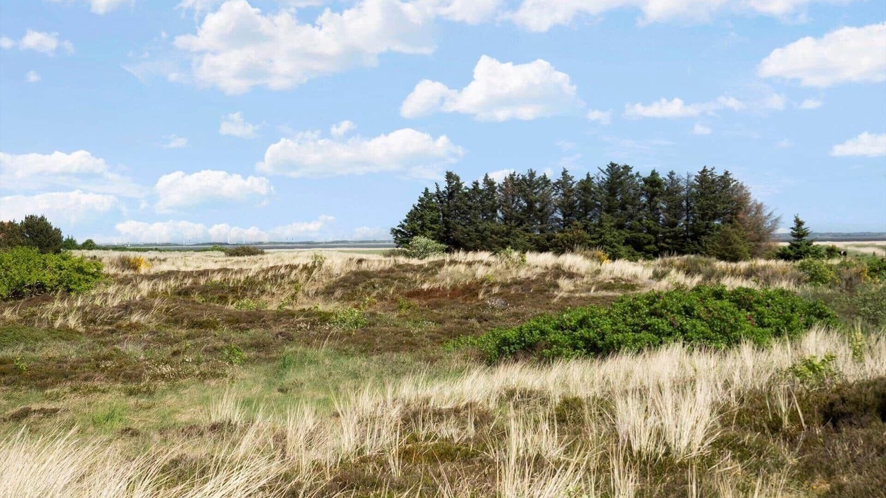 Photo of Others in Klegod Strand