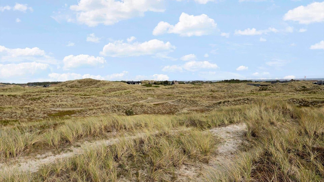 Photo of Others in Houvig Strand
