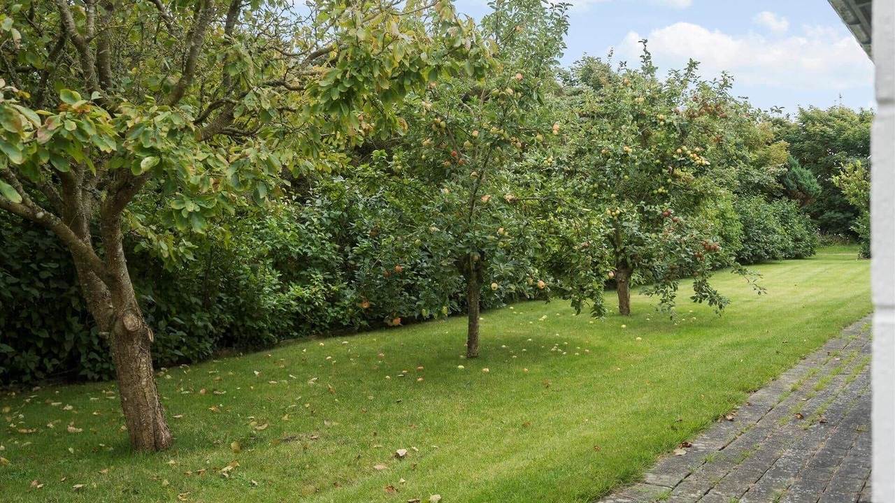 Photo of Outdoor in Remmer Strand