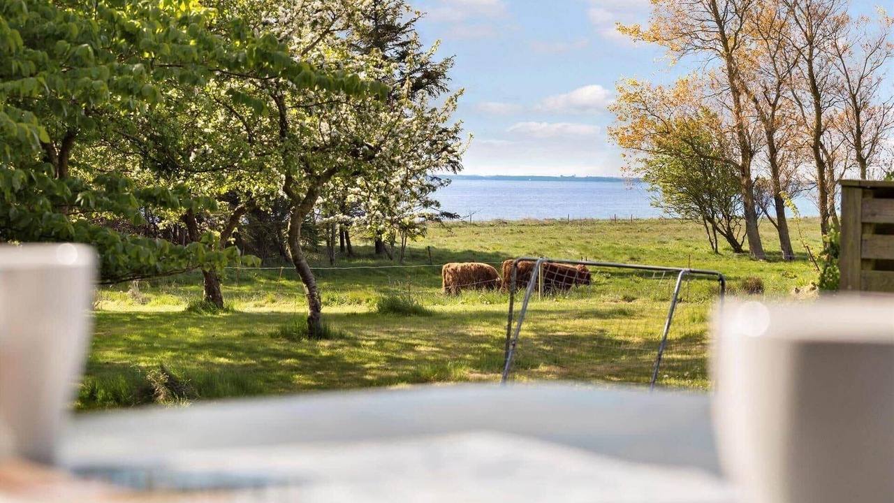 Photo of Outdoor in Nykobing Mors
