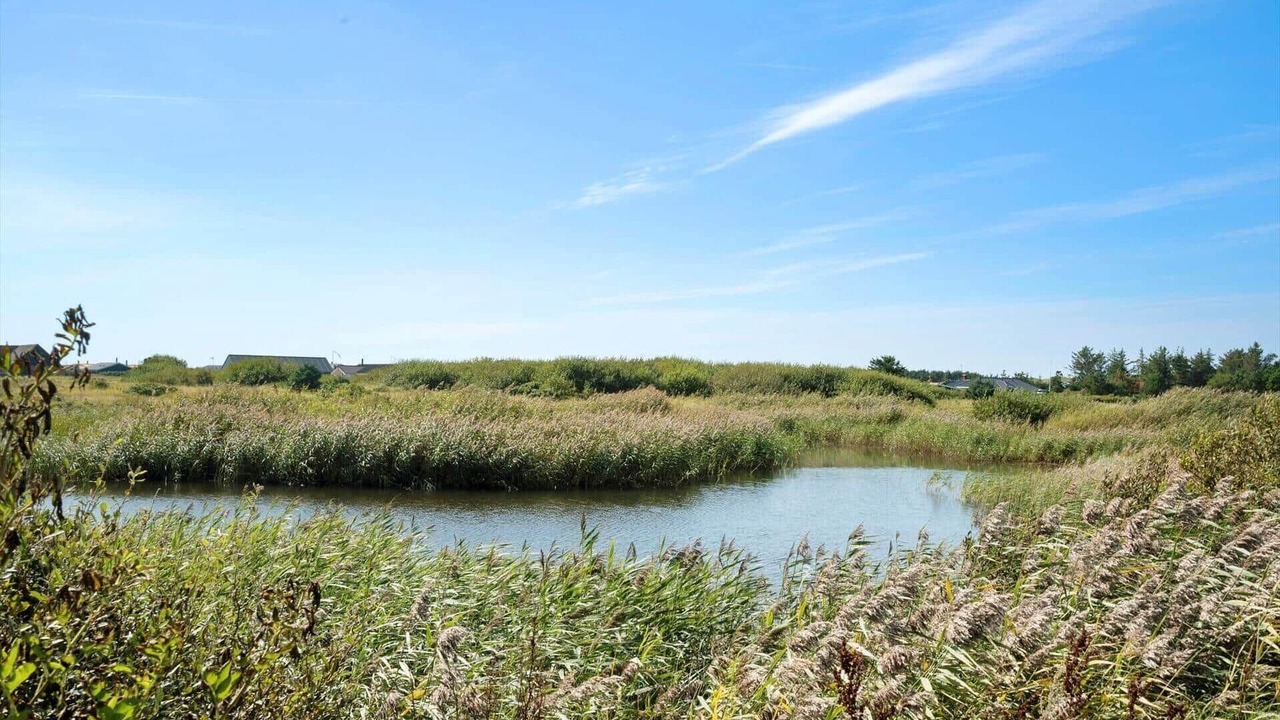 Photo of Others in Harboore