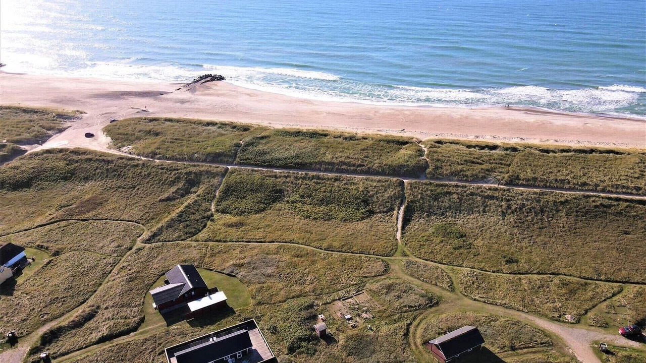 Photo of Others in Trans