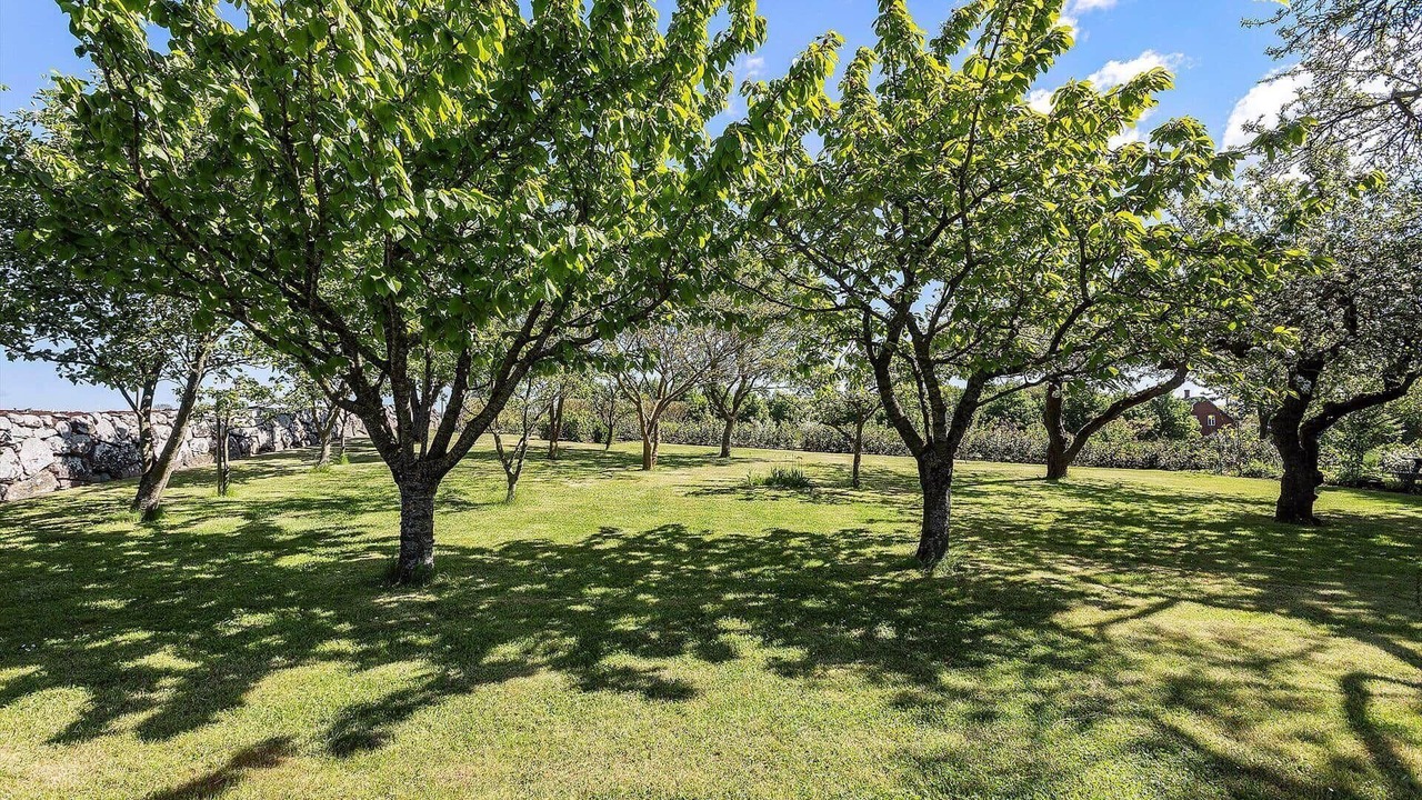 Photo of Outdoor in Bøjden