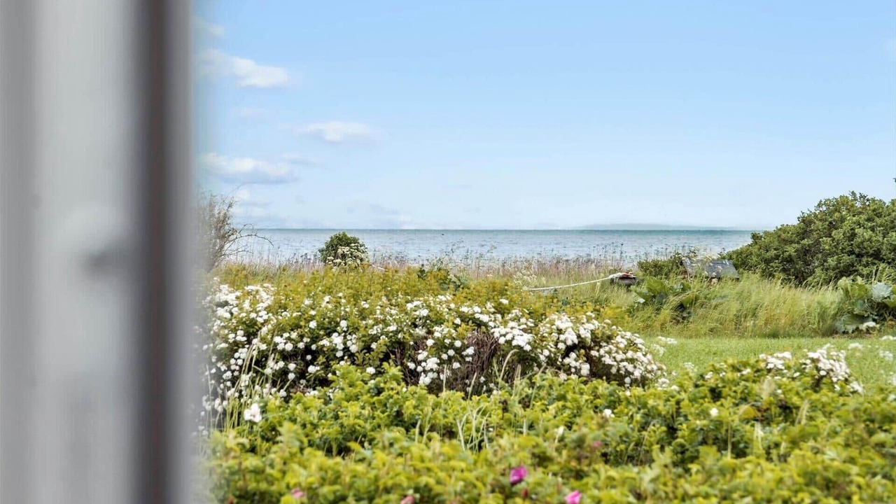 Photo of Others in Vejlby Fed