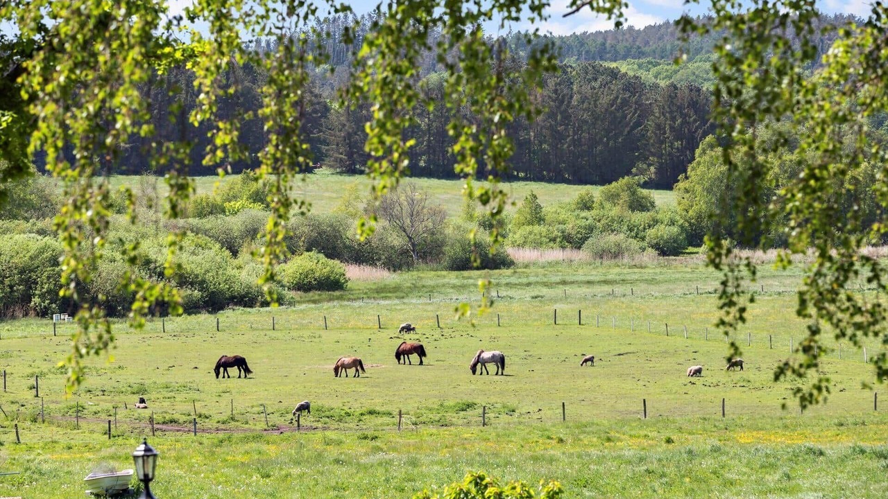 Photo of Others in Femmøller