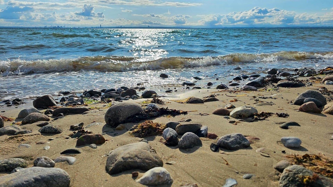 Photo of Others in Skødshoved Strand