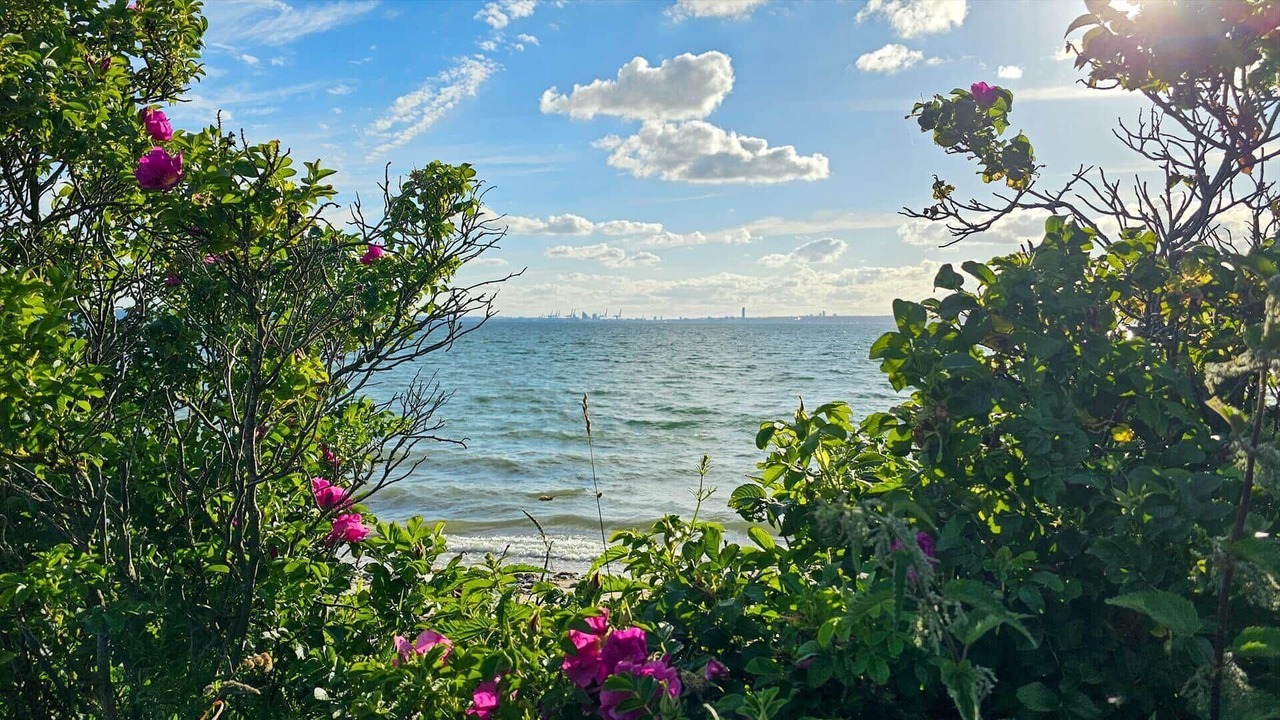 Photo of Others in Skødshoved Strand