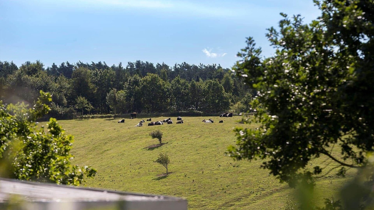 Photo of Others in Femmøller