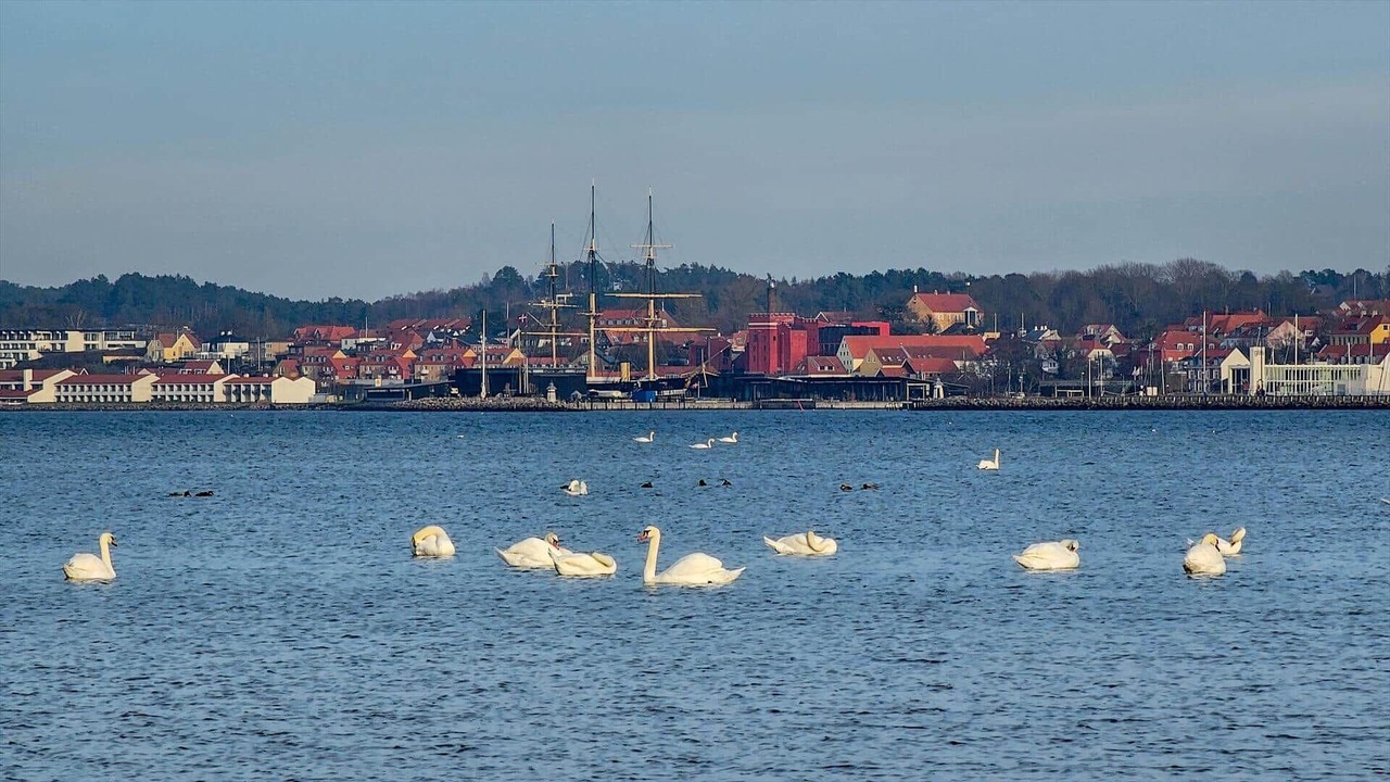 Photo of Others in Egsmark Strand
