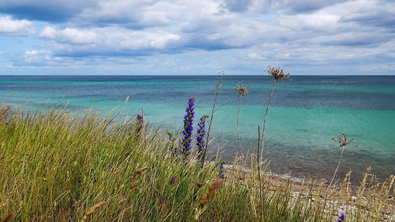Photo of Others in Elsegarde Strand
