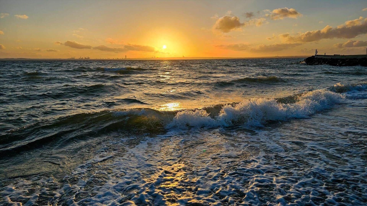 Photo of Others in Skødshoved Strand