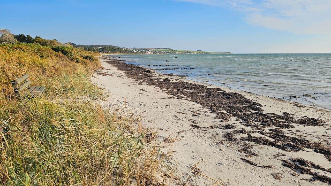 Photo of Others in Skødshoved Strand