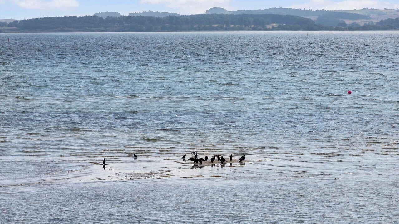 Photo of Others in Skæring