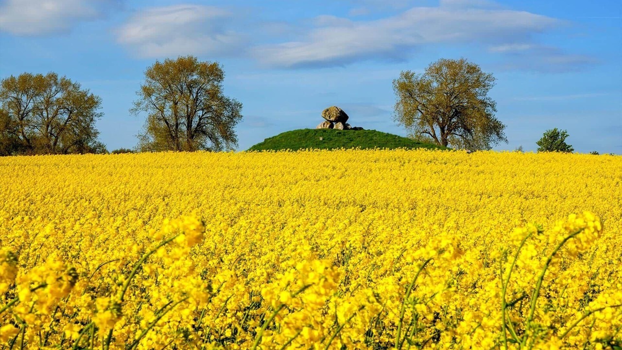 Photo of Others in Ronde
