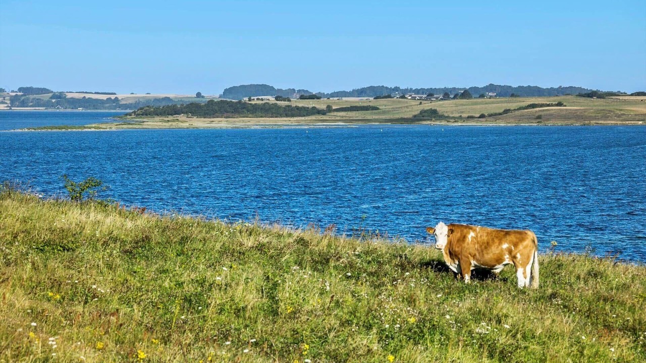 Photo of Others in Fejrup