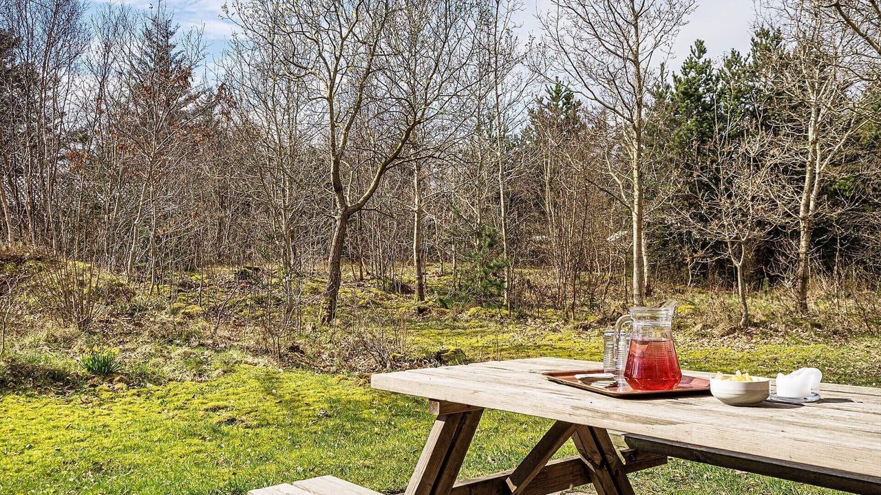Photo of Outdoor in Lodbjerg Hede